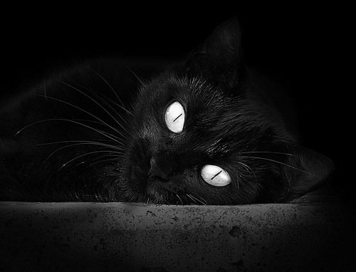 开云体育官网登入-《职业电竞选手的市场价值：年收入破百万不是梦》，职业电竞选手收入排行