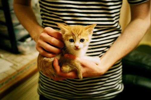 开云集团中国官网-传统民族舞狮表演赛，文化与运动的精彩碰撞